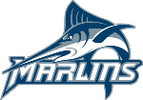 Logo von VA Wesleyan
