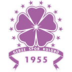 Logo von Gebzespor
