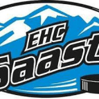 Saastal logo