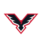 Pinskiye Yastreby logo