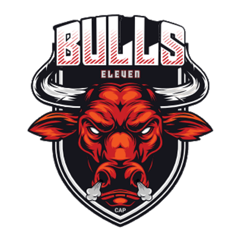 Logo von Bulls XI