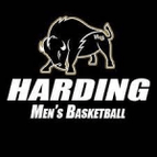Logo von Harding Bisons