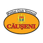 Sinteza Căuşeni logo