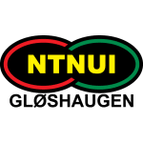 NTNUI logo