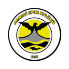 Logo von Arhavispor