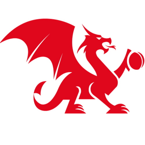 Logo von Wales Minor Counties