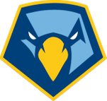 Logo von Point Skyhawks