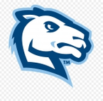 Logo von Connecticut College Camels