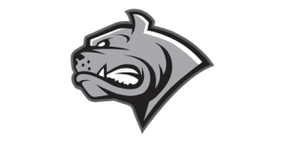 Dornbirn logo