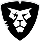 HC Riga logo