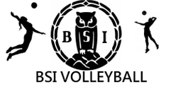BSI Women logo