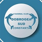 HC Dobrogea Sud logo