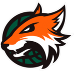 Logo von Plymouth Raiders