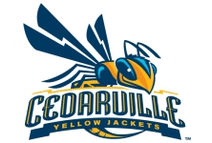 Logo von Cedarville Yellow Jackets