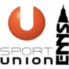 Enns logo