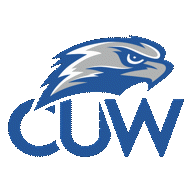 Logo von Falcons