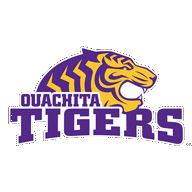 Logo von Tiger