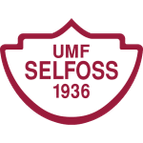 Logo von Selfoss