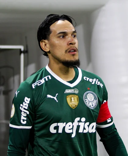Gustavo Raúl Gómez Portillo