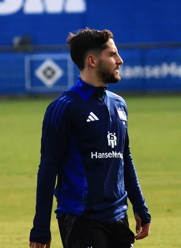 Ludovit Reis