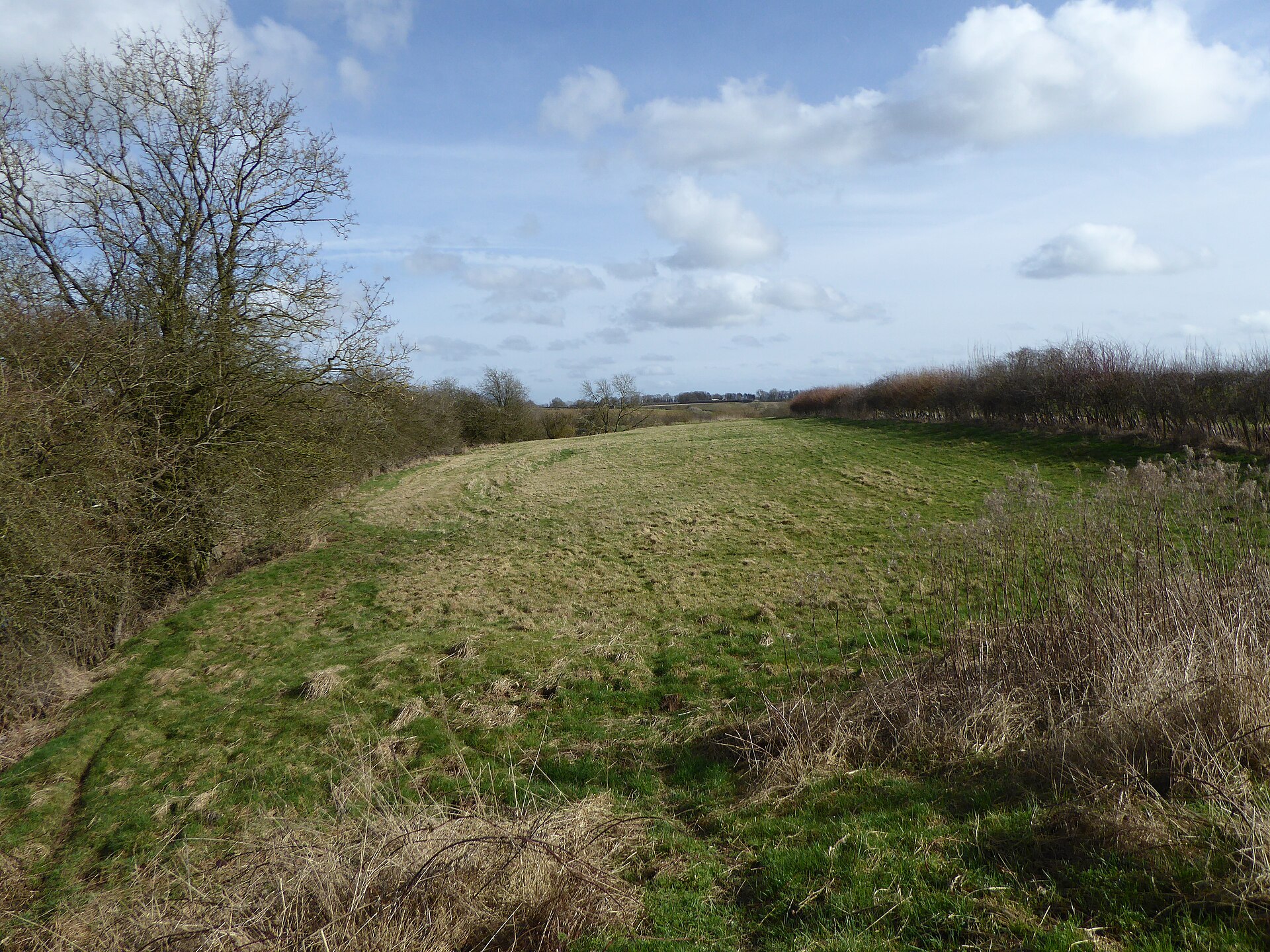 Mill Meadow