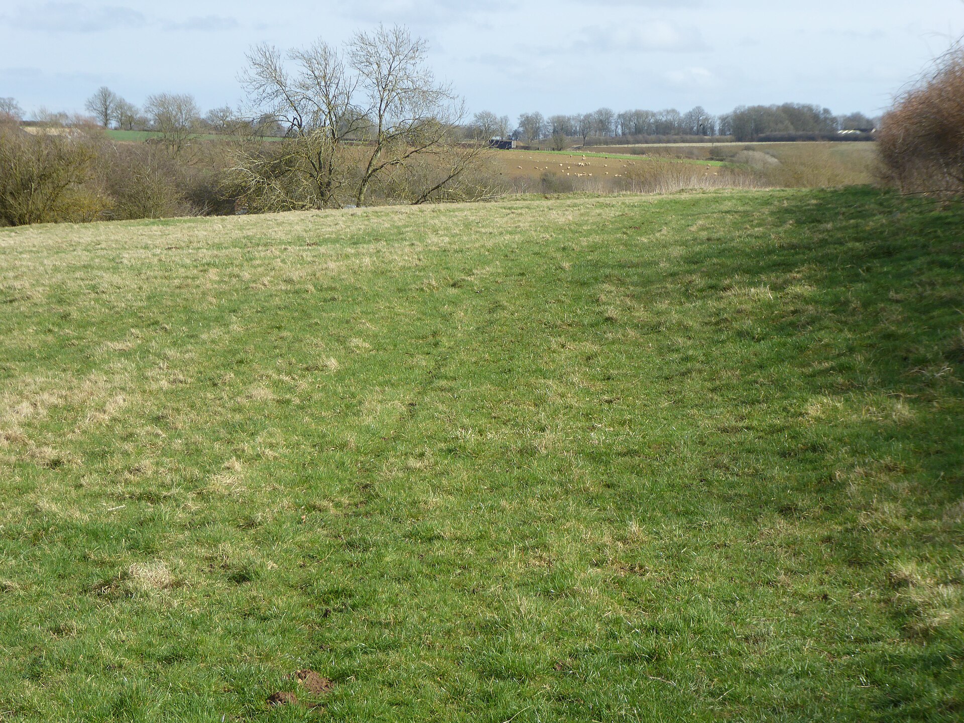 Mill Meadow