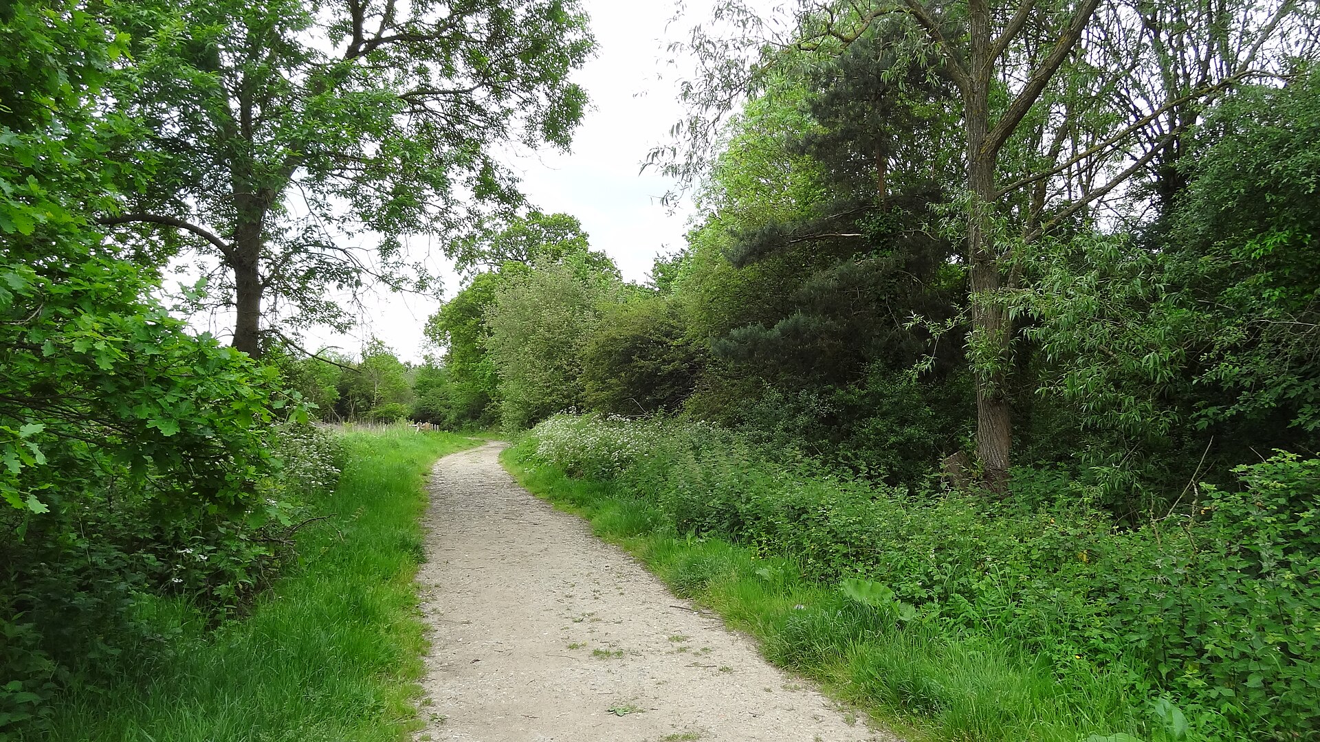Ten Acre Wood in Yeading, London