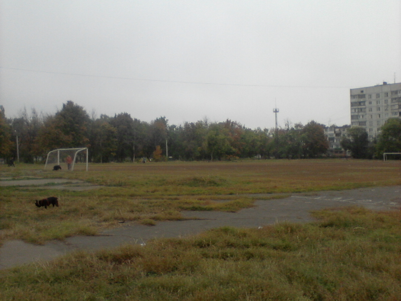 Факел