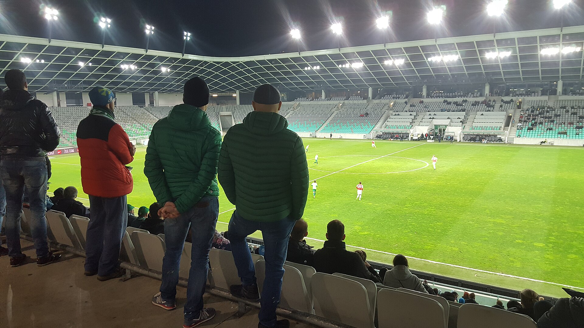 Stadion Stozice