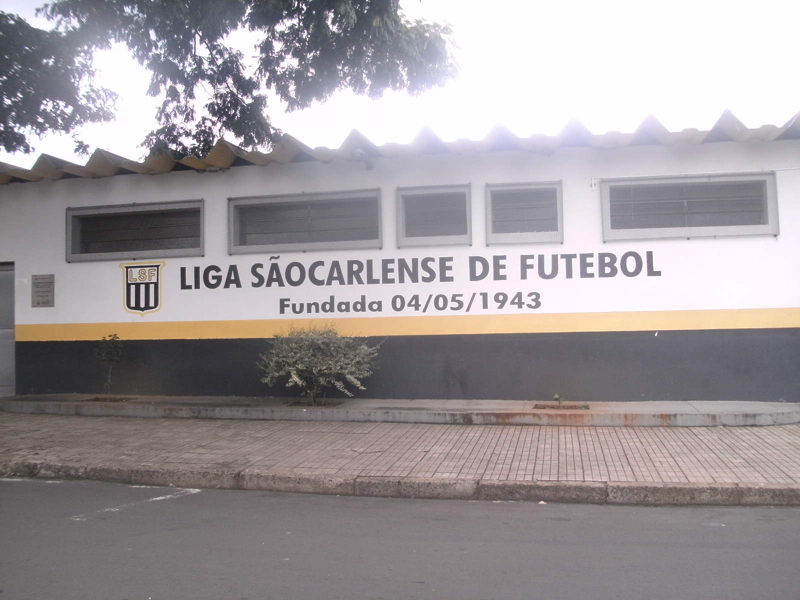 Patinhas esteve aqui - Estadio do São Carlos 1