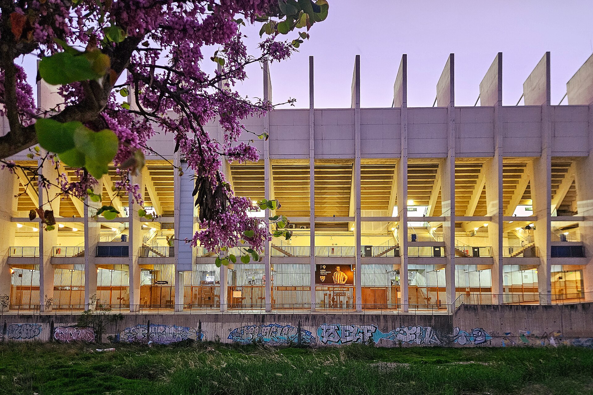 Estadio La Rosaleda, Málaga, as seen from the east from the footpath on the other side of the Río Guadalmedina, partly framed by blossoms. The stadium lights are on as a game is in progress.