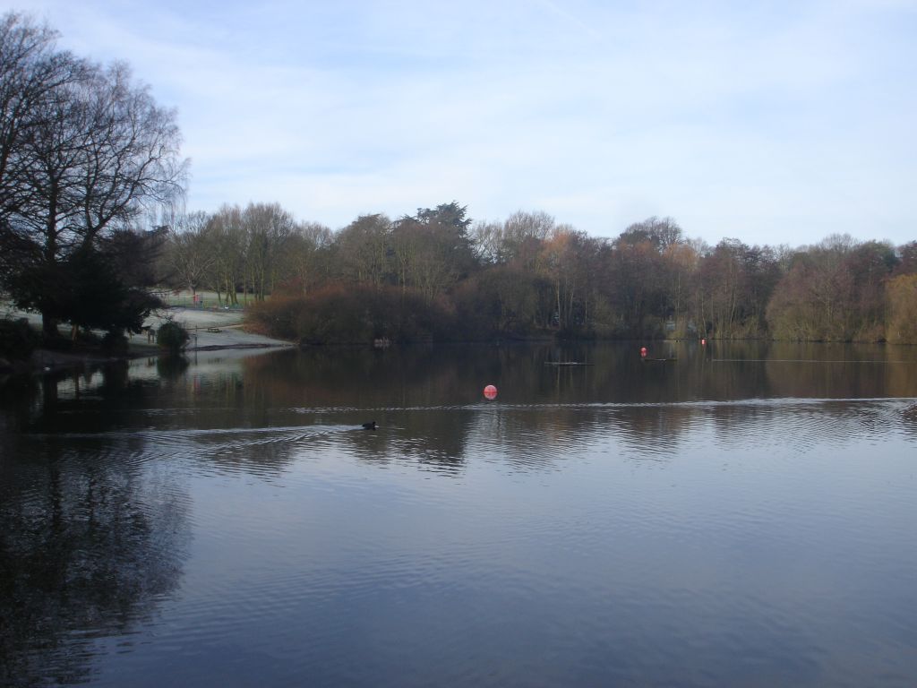 Clywedog Park