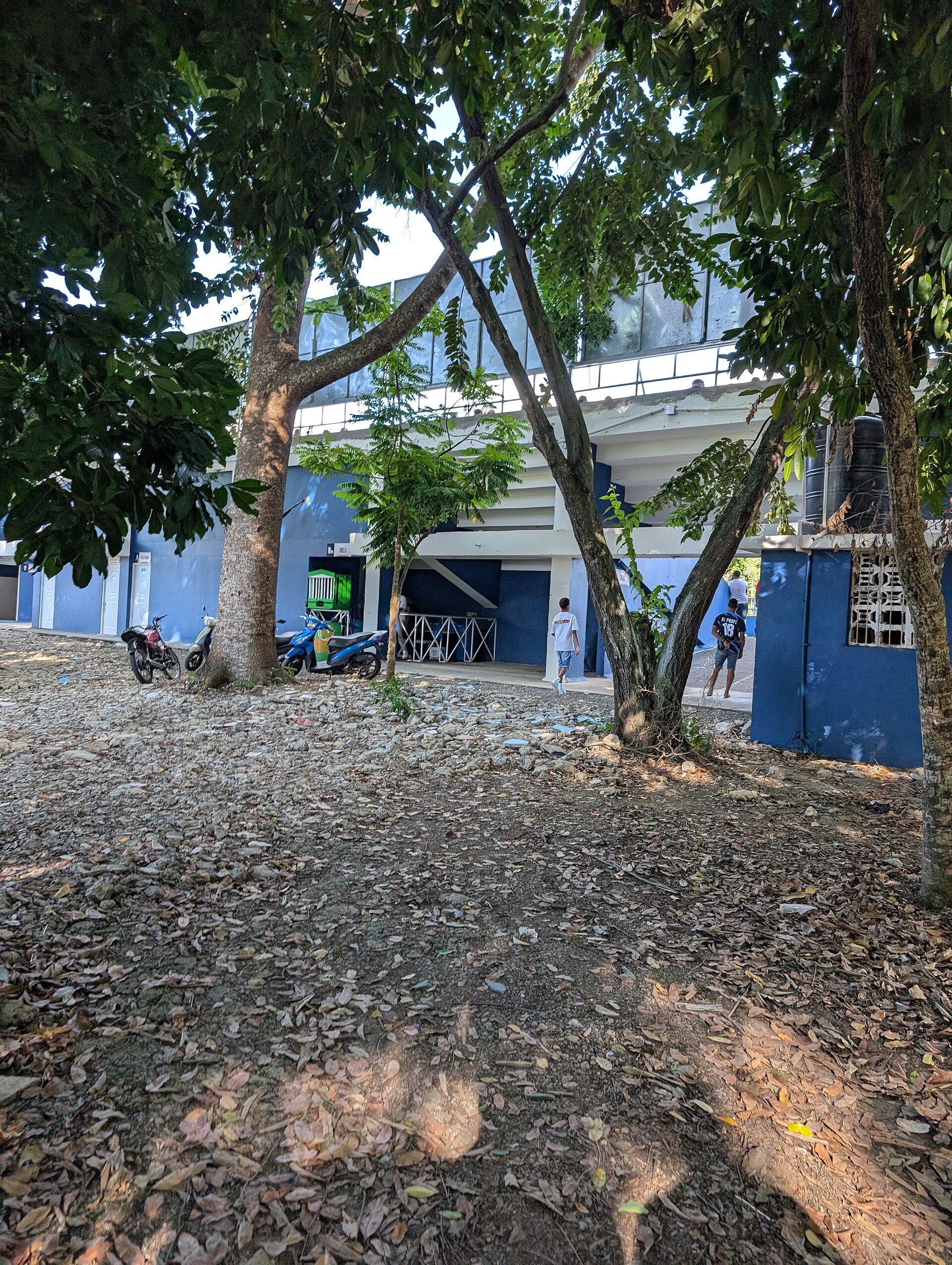 Estadio Domingo Polonia