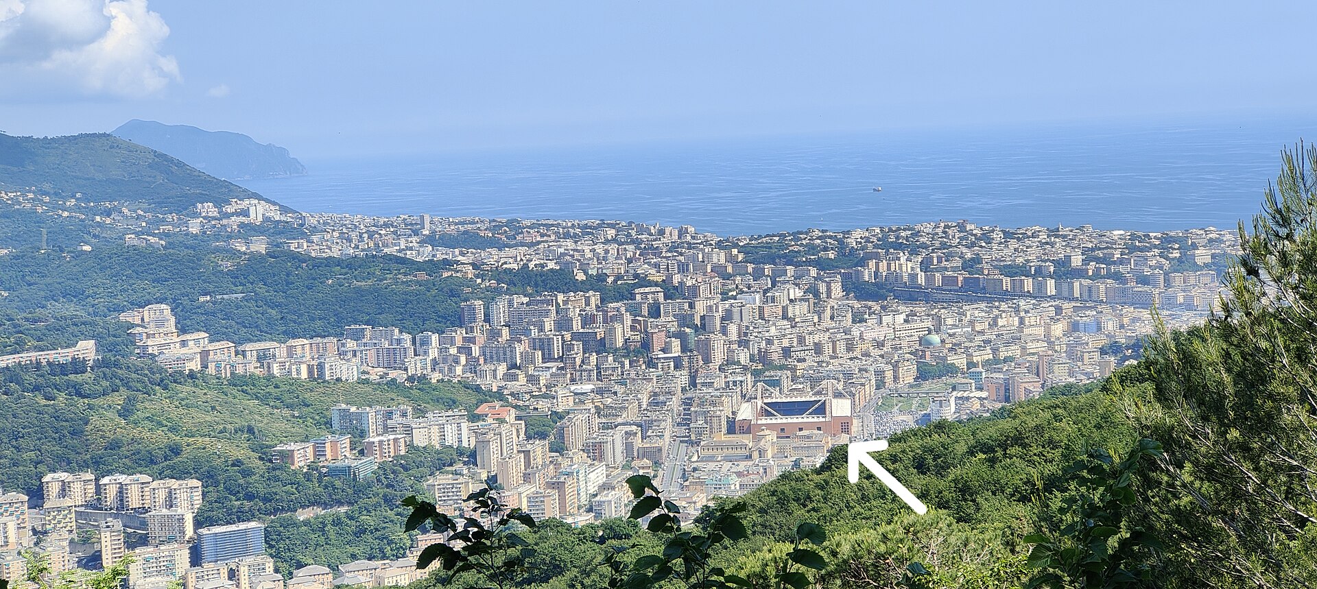 Genova