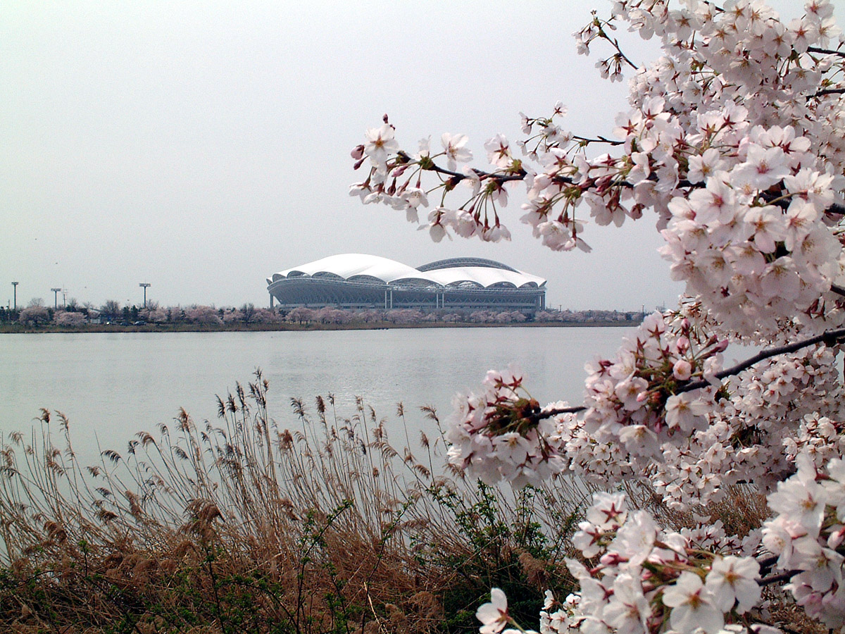 新潟市中央区、ビッグスワンと鳥屋野潟の桜。