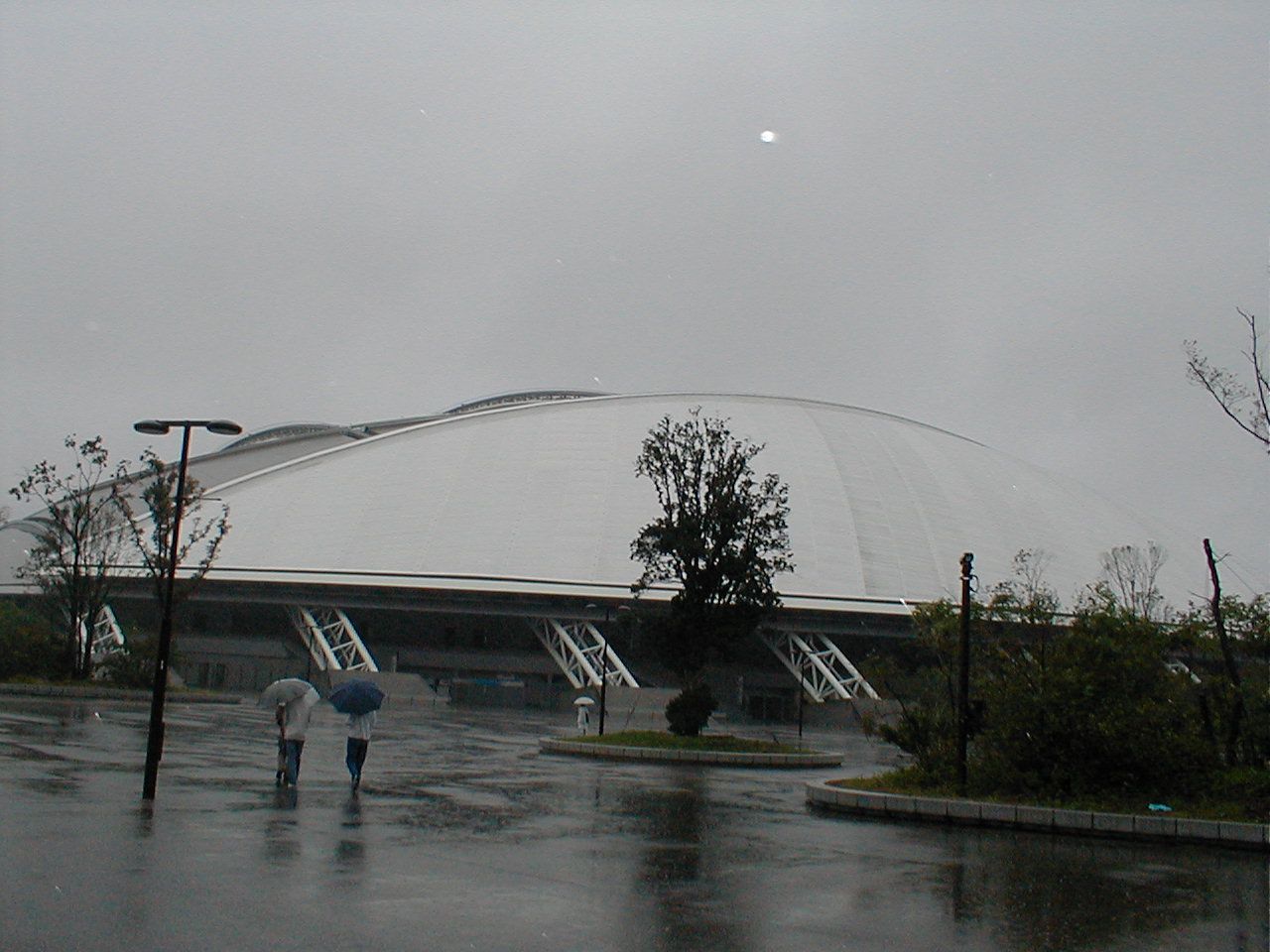 Crasus Dome Oita