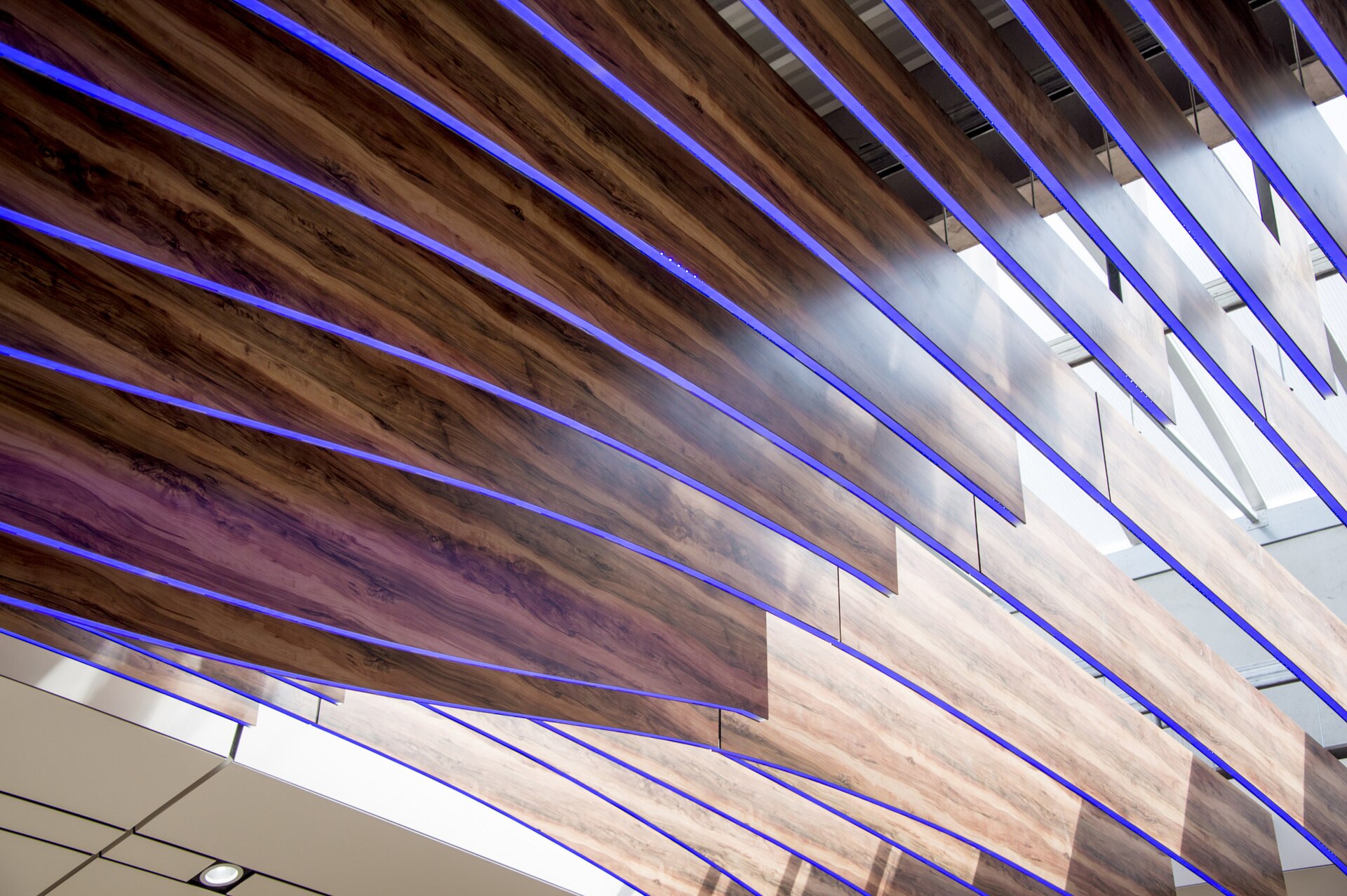 500px provided description: Slovakia 2015, CityArena Trnava [#light ,#architecture ,#violet ,#slovakia ,#interier ,#trnava ,#Lights ,#cityarena]