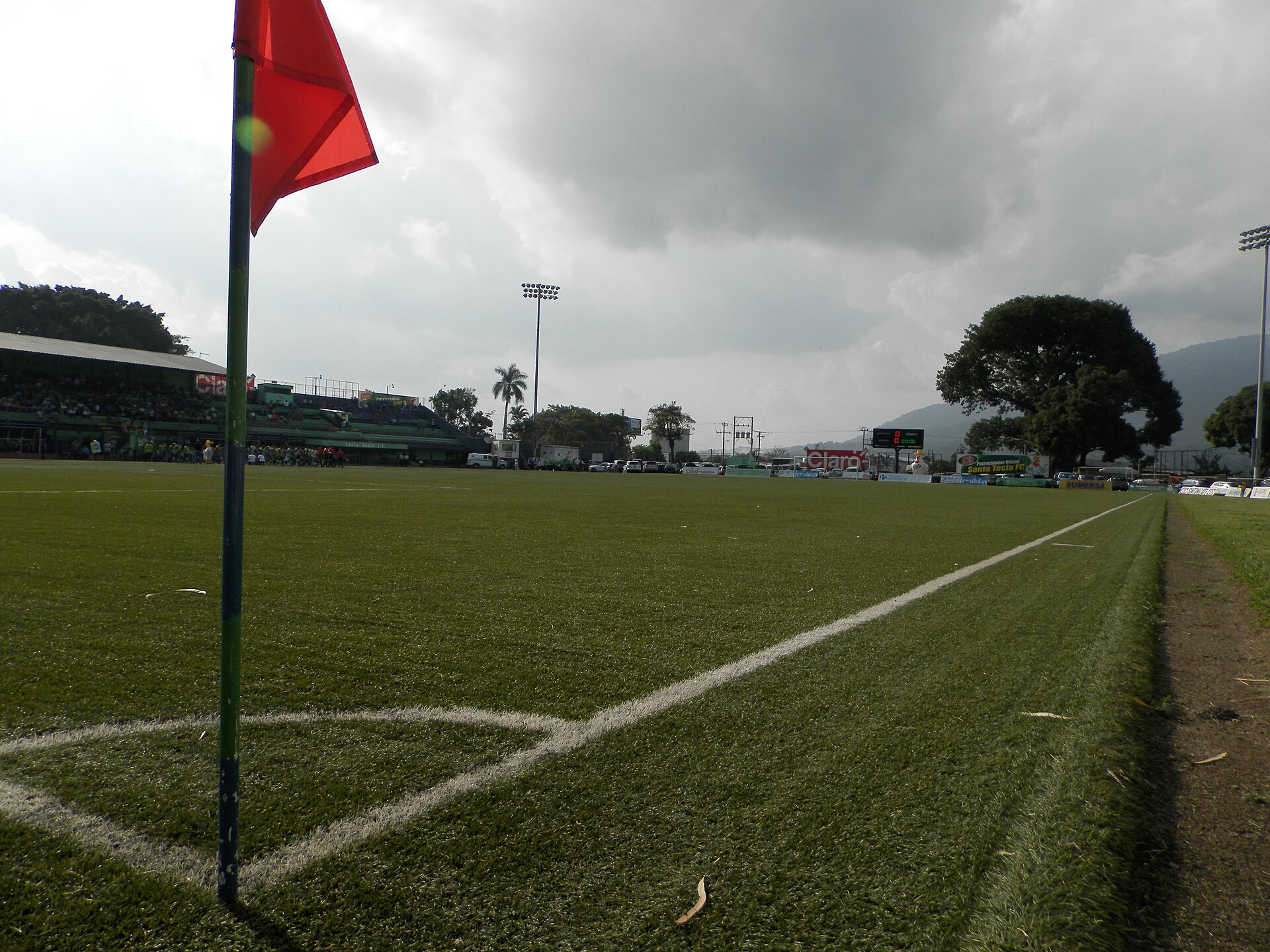 Césped del estadio Las Delicias