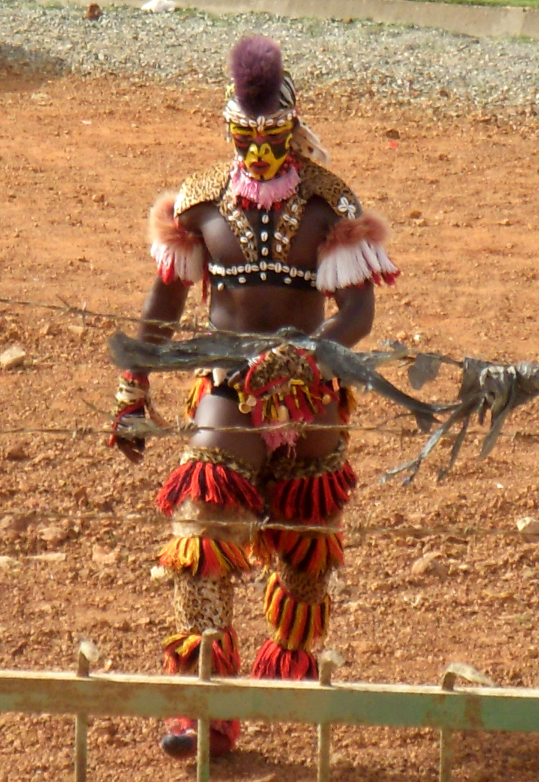 Un "Faux lion" qui anime avant le debut d'un combat. (photo légèrement retouchée : recadrage + contrastes)
