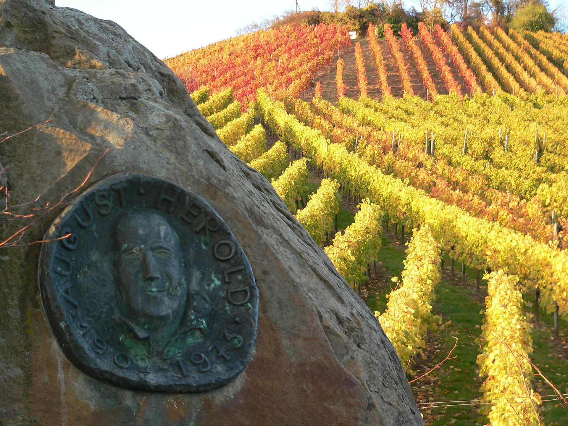 Medallion with the portrait of August Herold in the vineyards of the city Neckarsulm