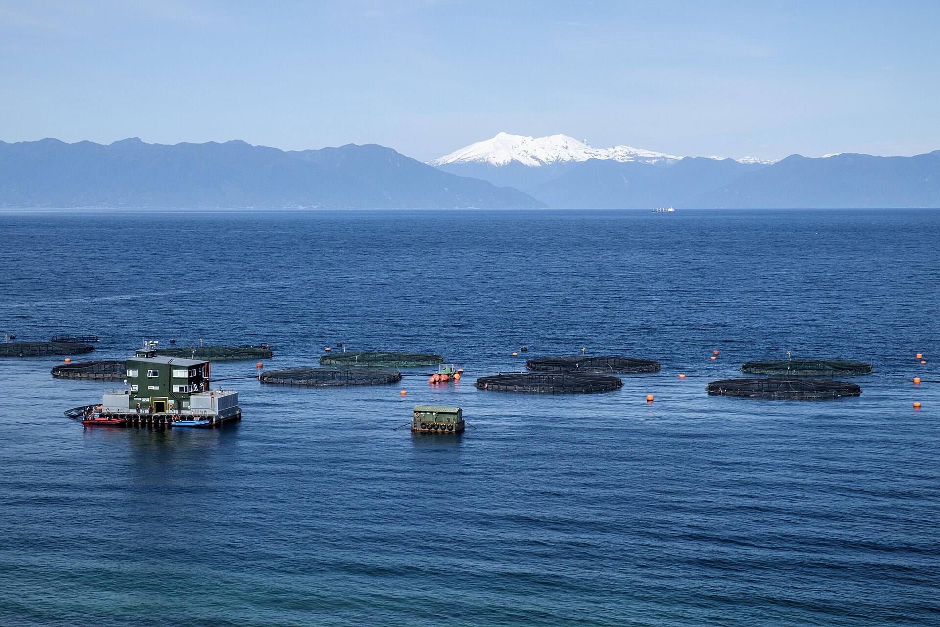 Centro de cultivo de salmón en isla Capera, Puerto Montt.