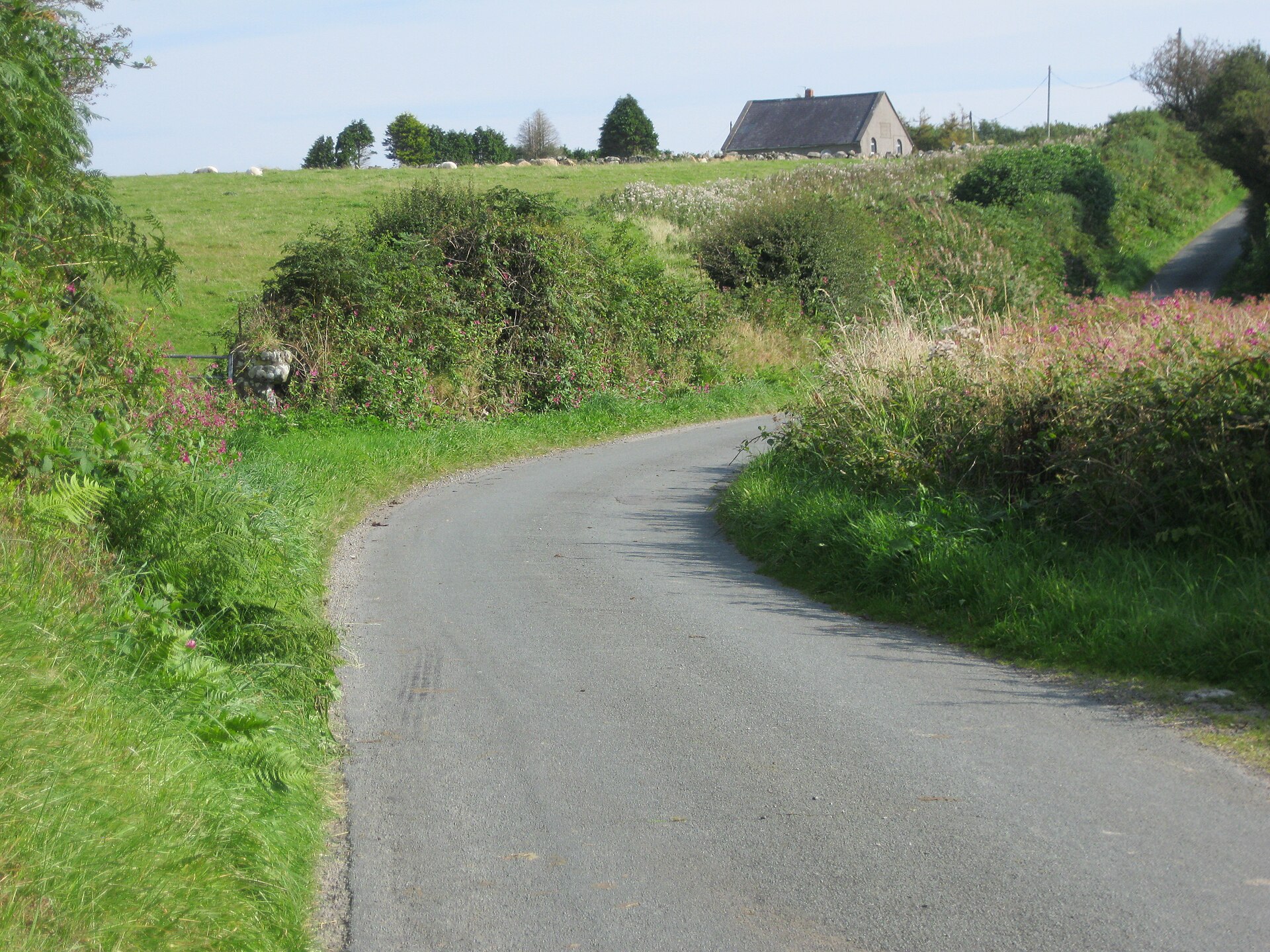Sardis Road, Pontypridd, United Kingdom