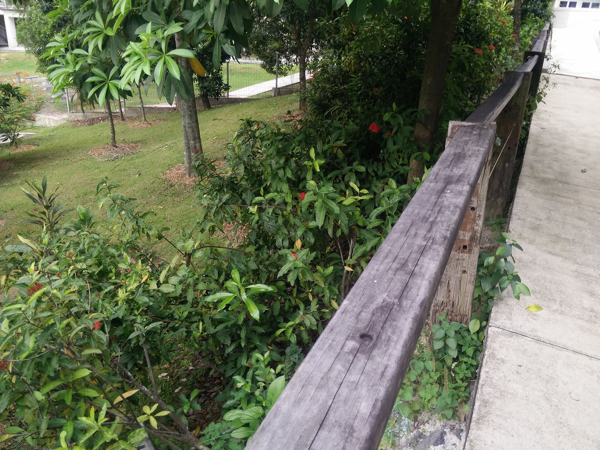 Garden Walk, Royston, United Kingdom