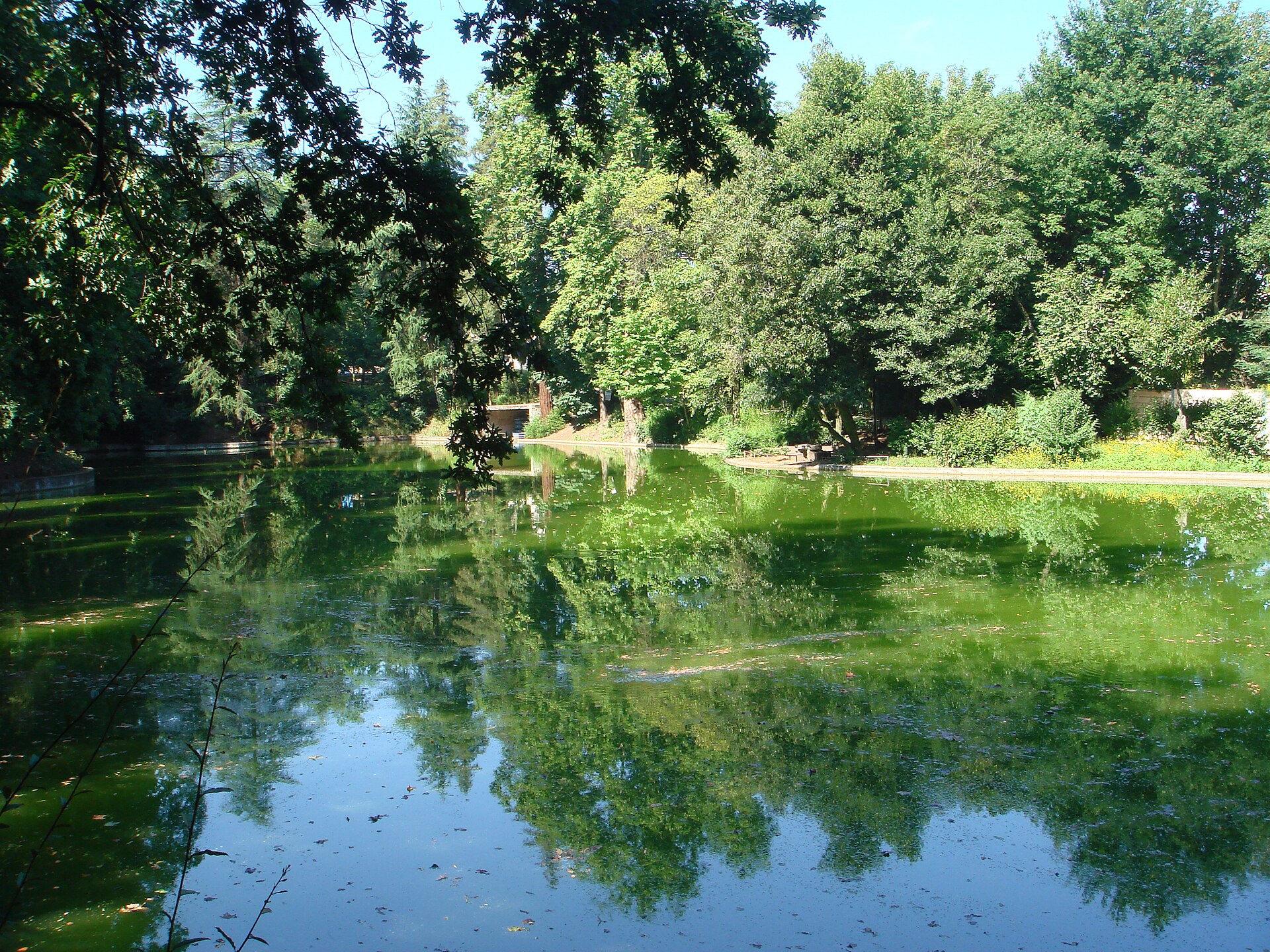 Lake at Parque da Ponte, Braga, Portugal