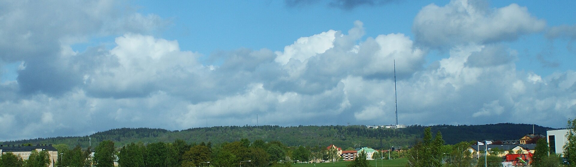 Billingen sedd från öster med Skövde i förgrunden.