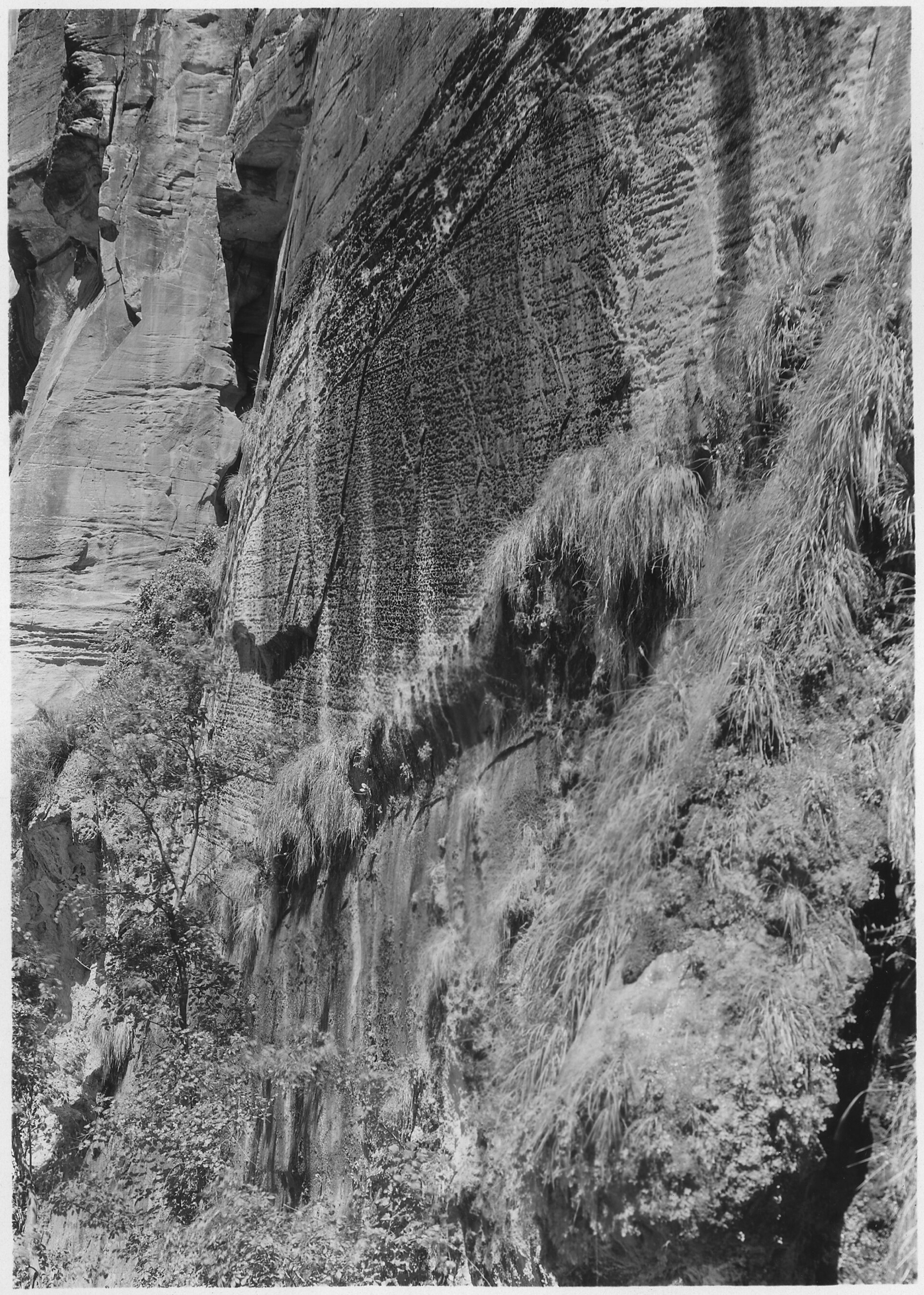 Wall Park, Brixham, Vereinigtes Königreich