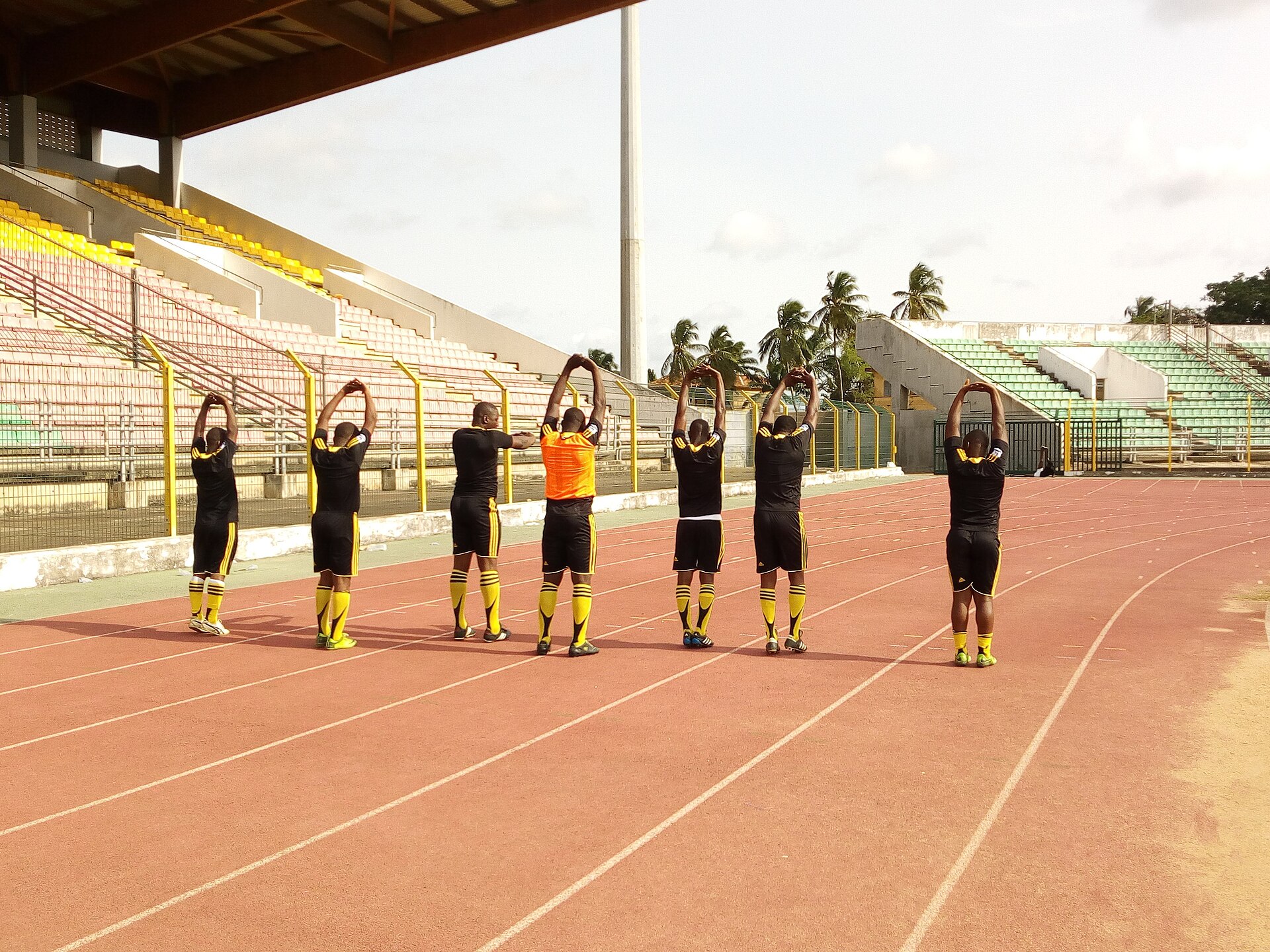 This is an image with the theme " Health and Wellness in Africa " from: