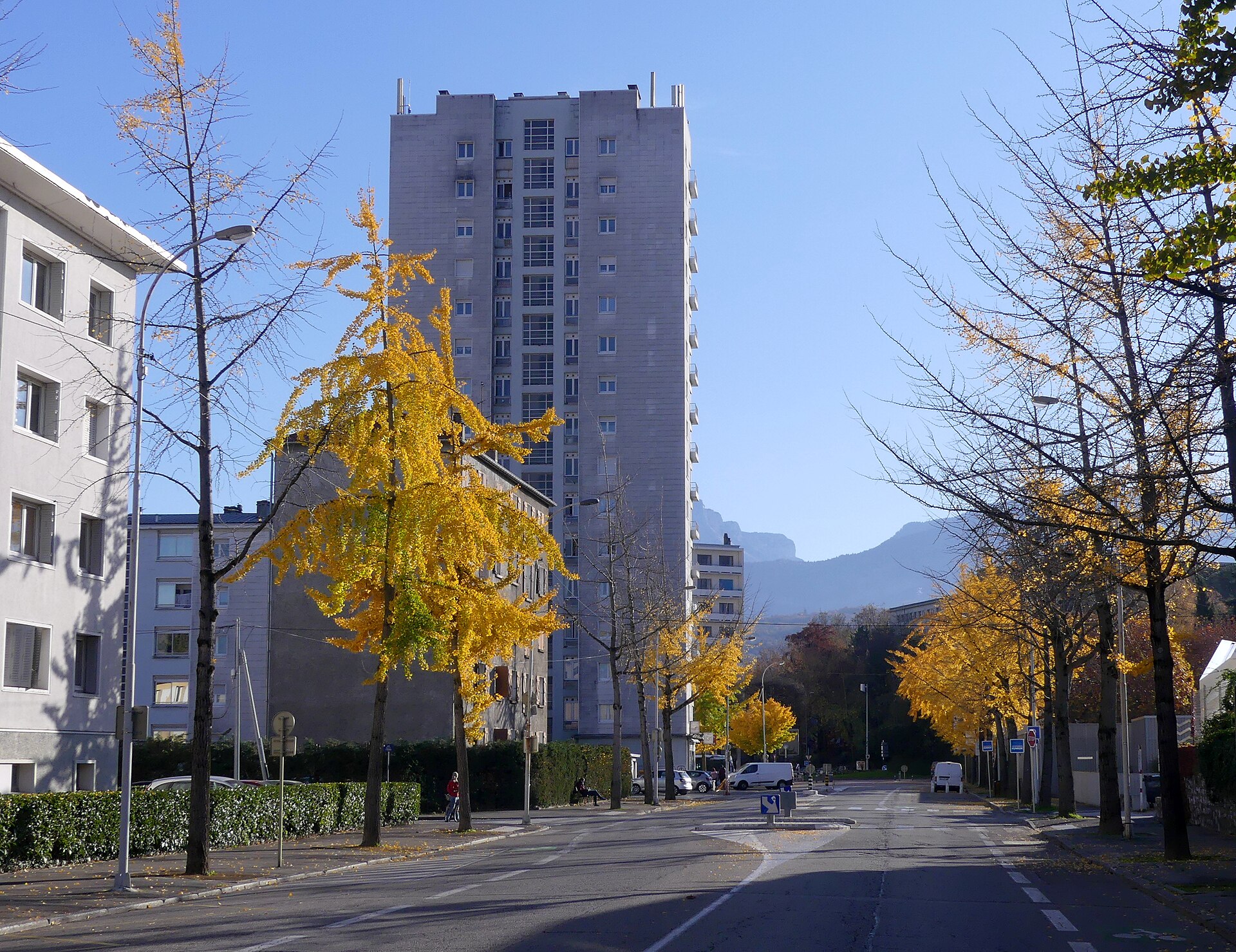 Sight, in autumn, of Avenue Alsace-Lorraine Avenue towards the stadium, in Chambéry , Savoie , France .