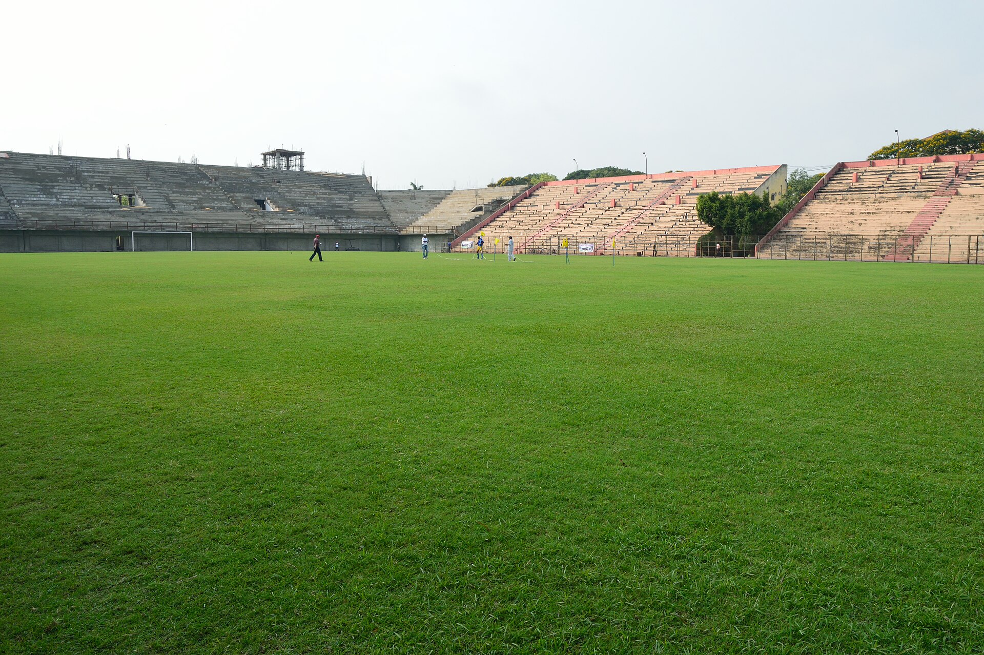 Photographed in greater Kolkata.