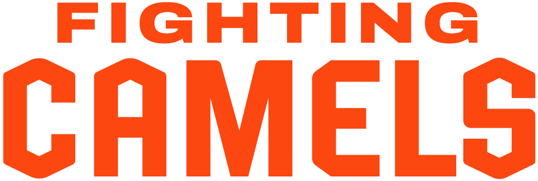 the wordmark
